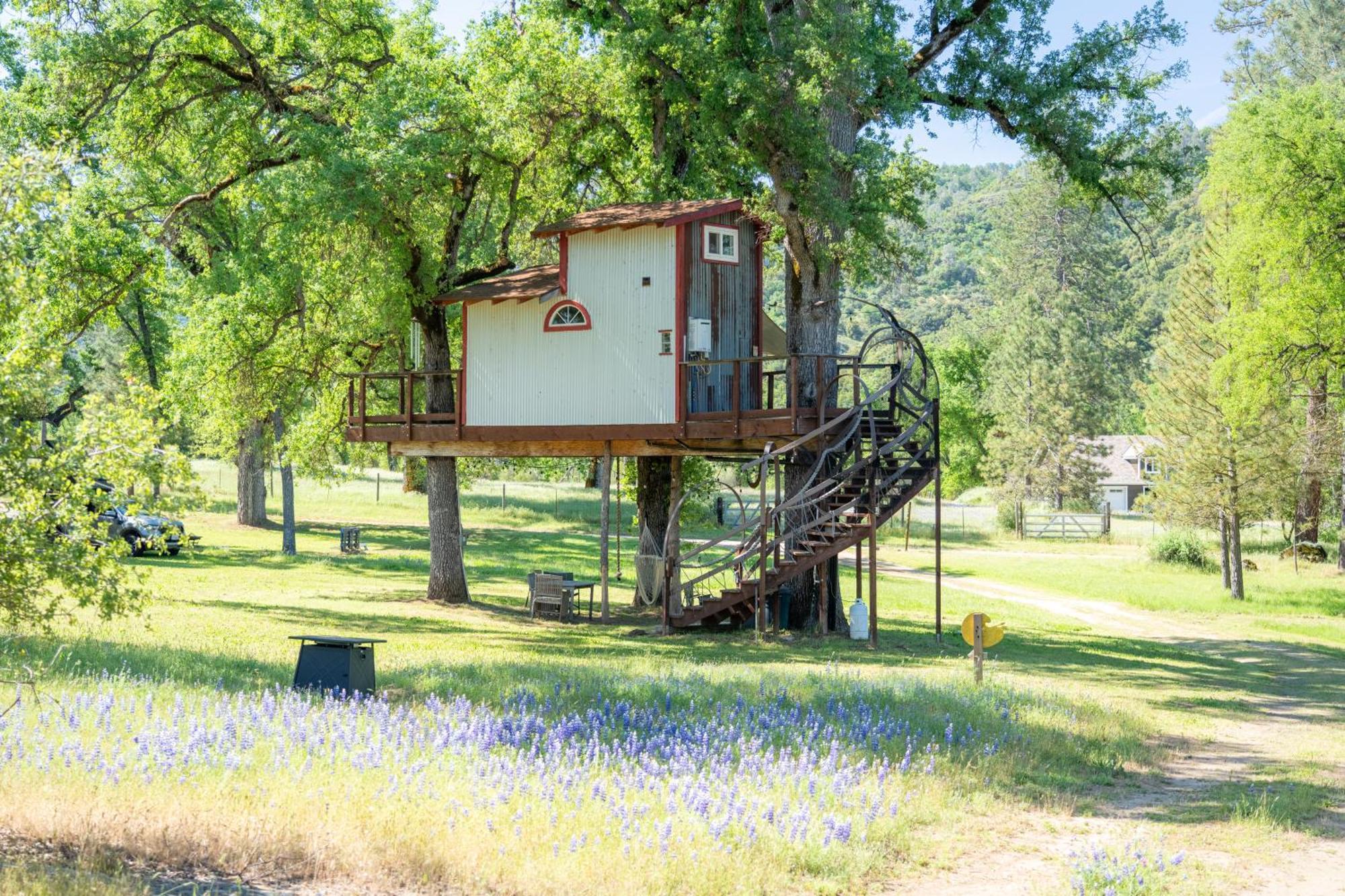 Villa Hawk'S Rest à Oakhurst Extérieur photo
