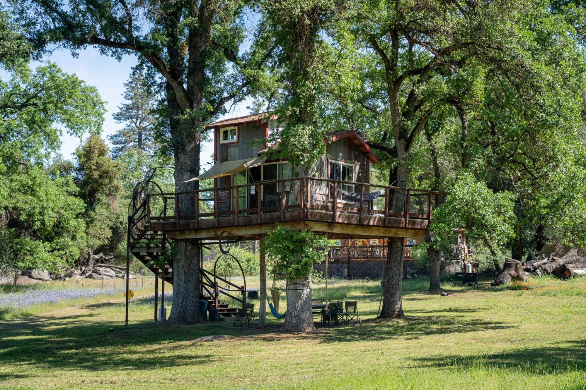 Villa Hawk'S Rest à Oakhurst Extérieur photo