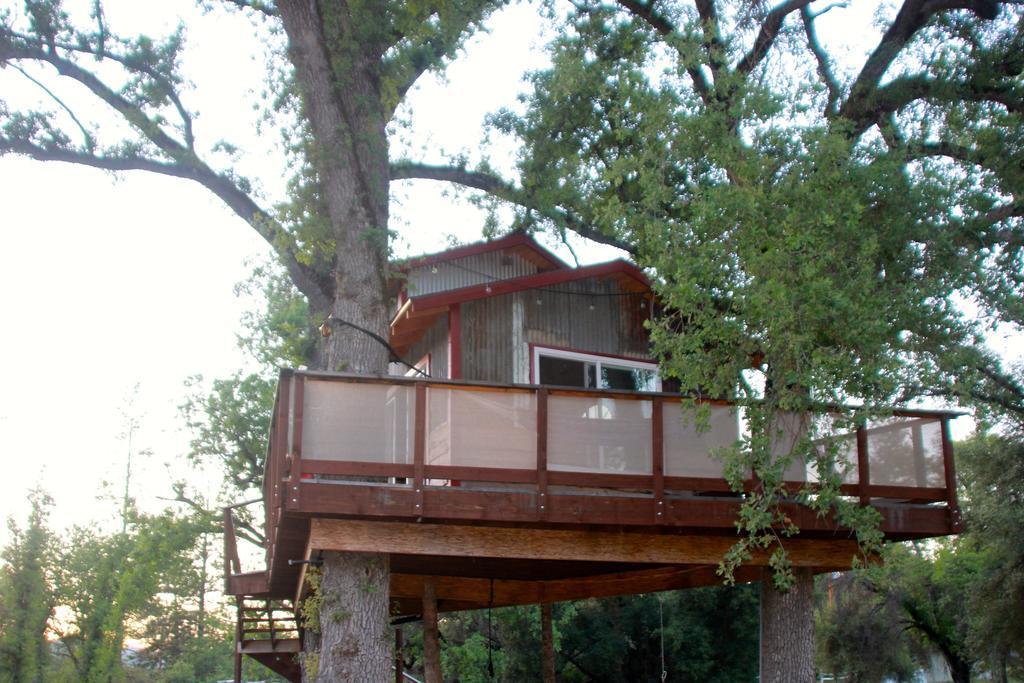 Villa Hawk'S Rest à Oakhurst Extérieur photo